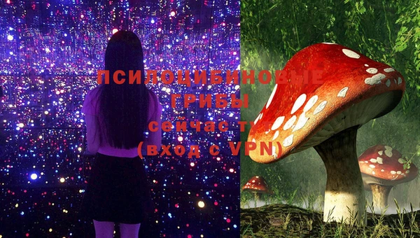 скорость Алексин