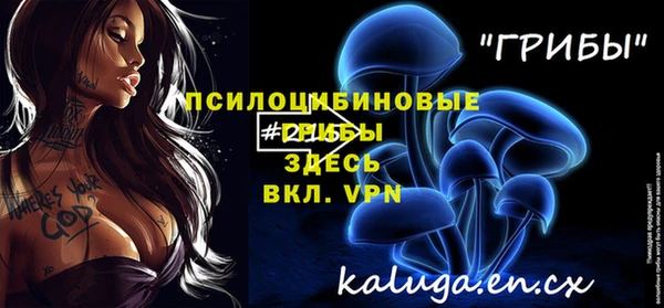 a pvp Алексеевка