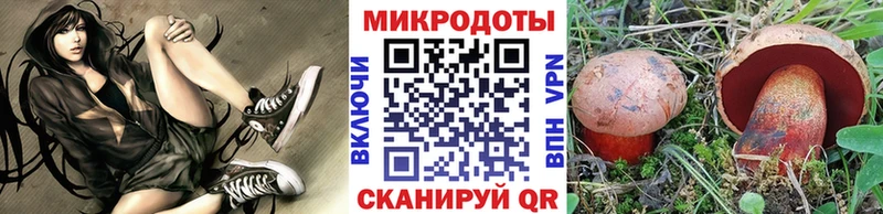 Псилоцибиновые грибы прущие грибы  Зея 